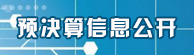 预决算信息公开
