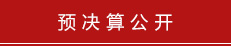 预决算公开