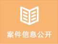 案件信息公开.png