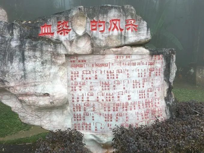 微信图片6 微信图片6
